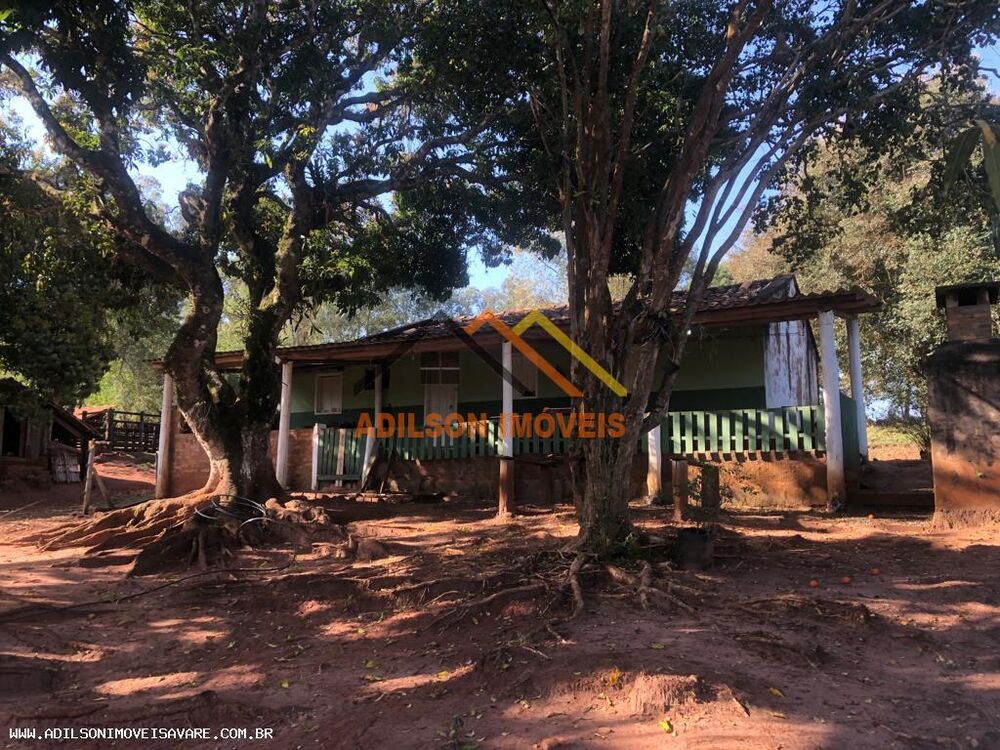 Sítio, 22 hectares - Foto 3