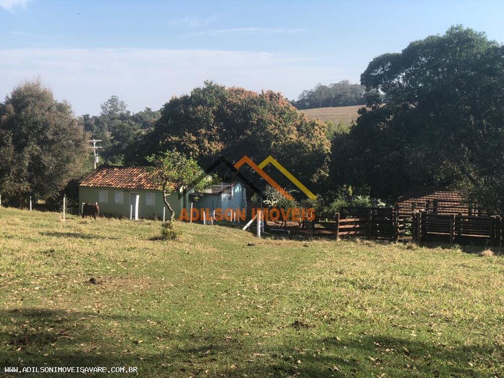 Sítio, 22 hectares - Foto 4