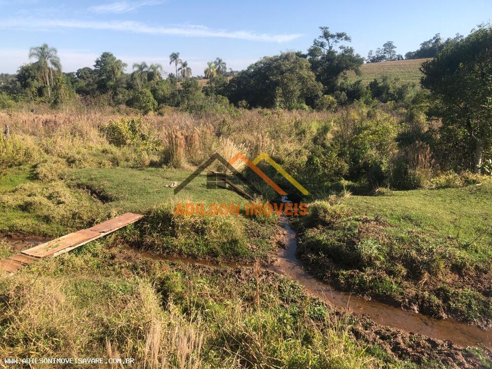 Sítio, 22 hectares - Foto 2