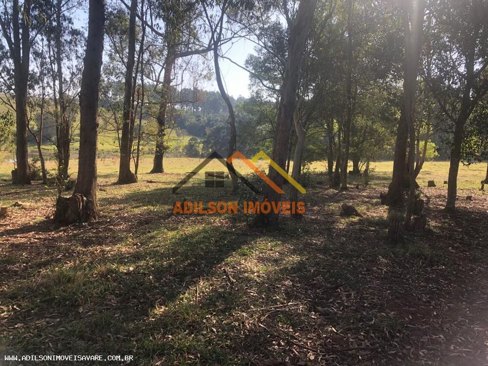 Sítio, 22 hectares - Foto 1