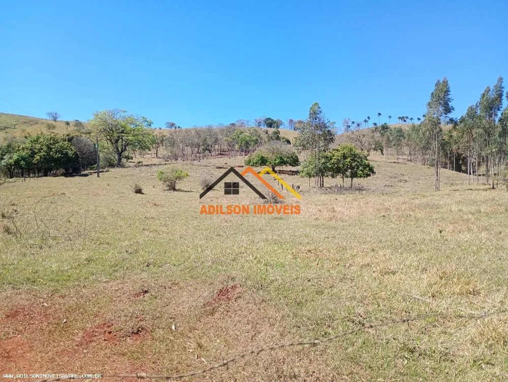 Sítio, 10 hectares - Foto 4
