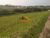 Terreno, 186 m² - Foto 2