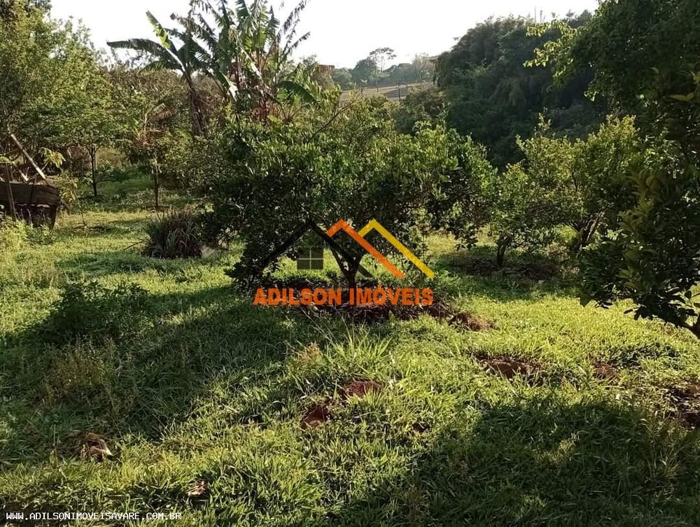 Sítio, 4 quartos, 4 hectares - Foto 13