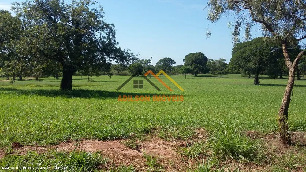 Loteamento e Condomínio, 1000 m² - Foto 2
