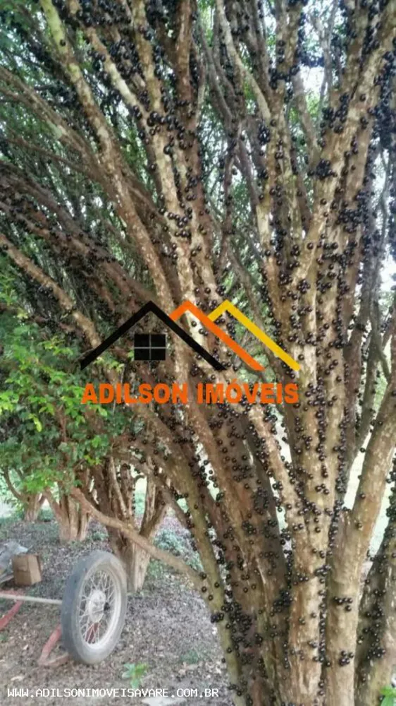 Chácara, 2 quartos, 7 hectares - Foto 7
