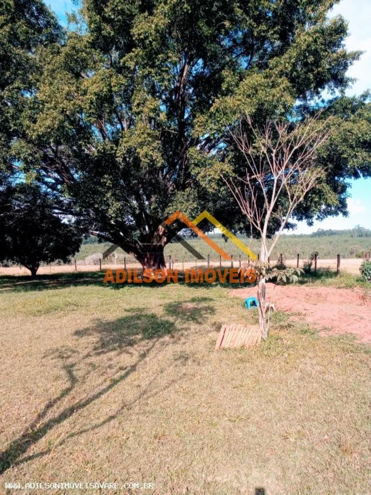 Chácara, 3 hectares - Foto 6