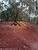 Terreno, 1000 m² - Foto 1