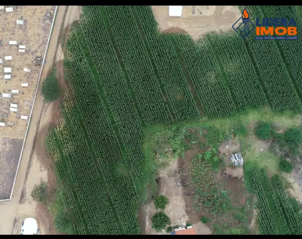 Fazenda, 1 hectares - Foto 4