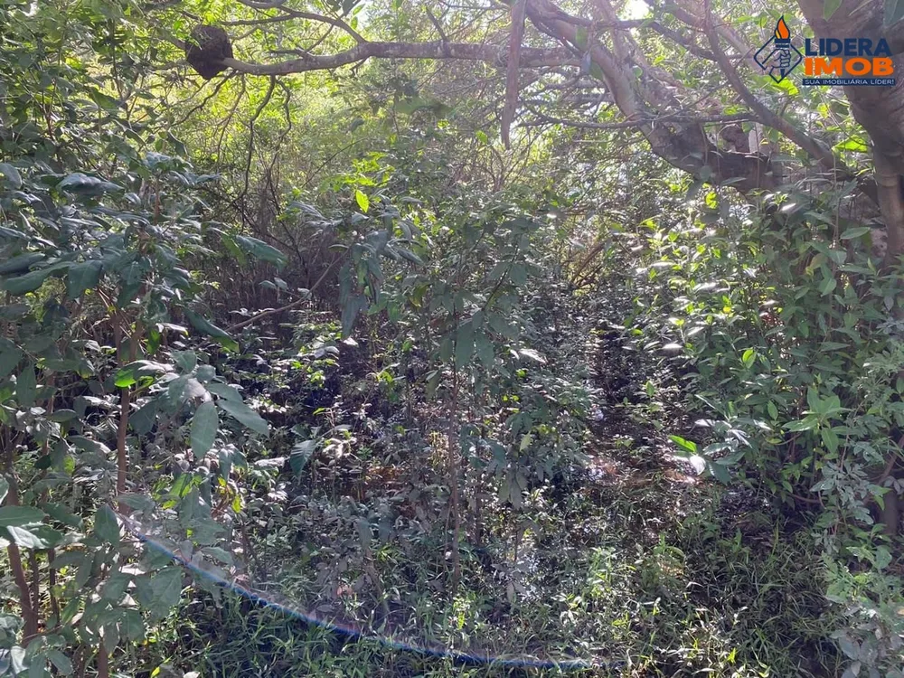 Fazenda, 1 hectares - Foto 11