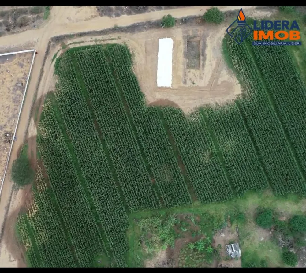 Fazenda, 1 hectares - Foto 5