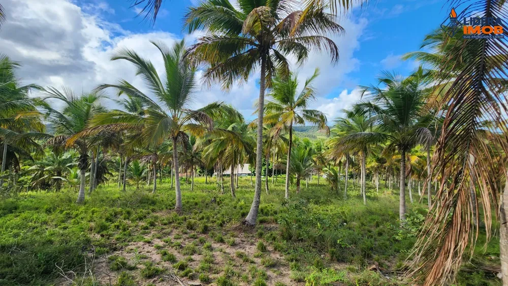 Fazenda, 14 hectares - Foto 4