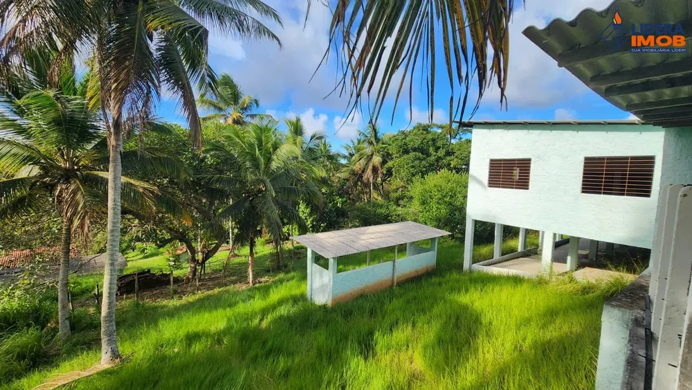 Fazenda, 14 hectares - Foto 10