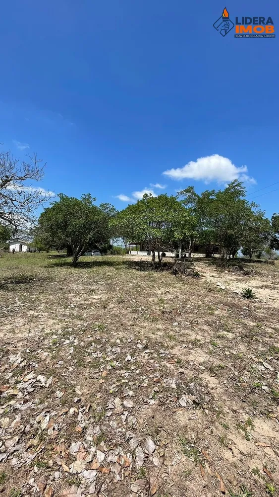 Chácara, 4 quartos, 6 hectares - Foto 2