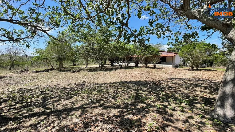 Chácara, 4 quartos, 6 hectares - Foto 4