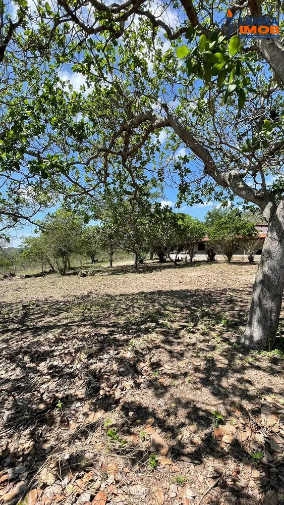 Chácara, 4 quartos, 6 hectares - Foto 1