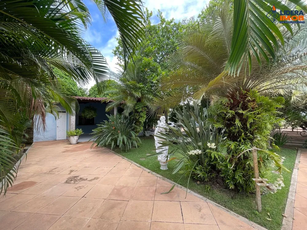 Chácara, 2 quartos, 3933 m² - Foto 10