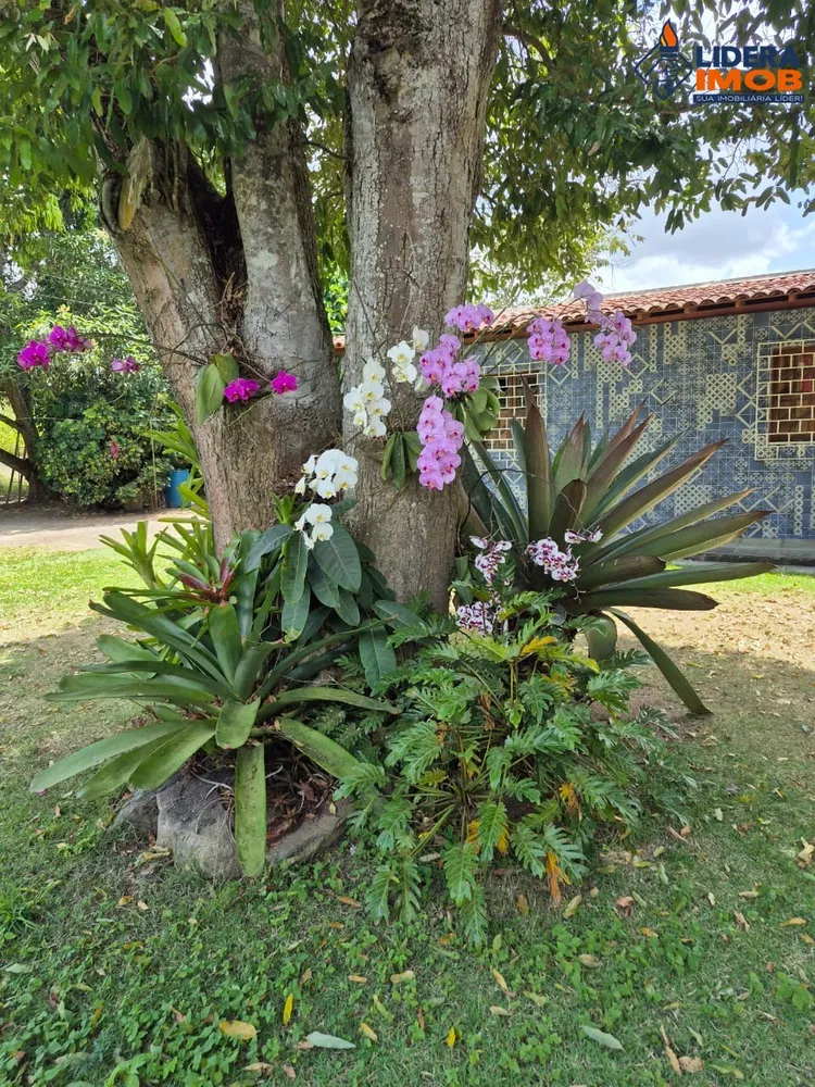 Chácara, 4 quartos, 10000 m² - Foto 2