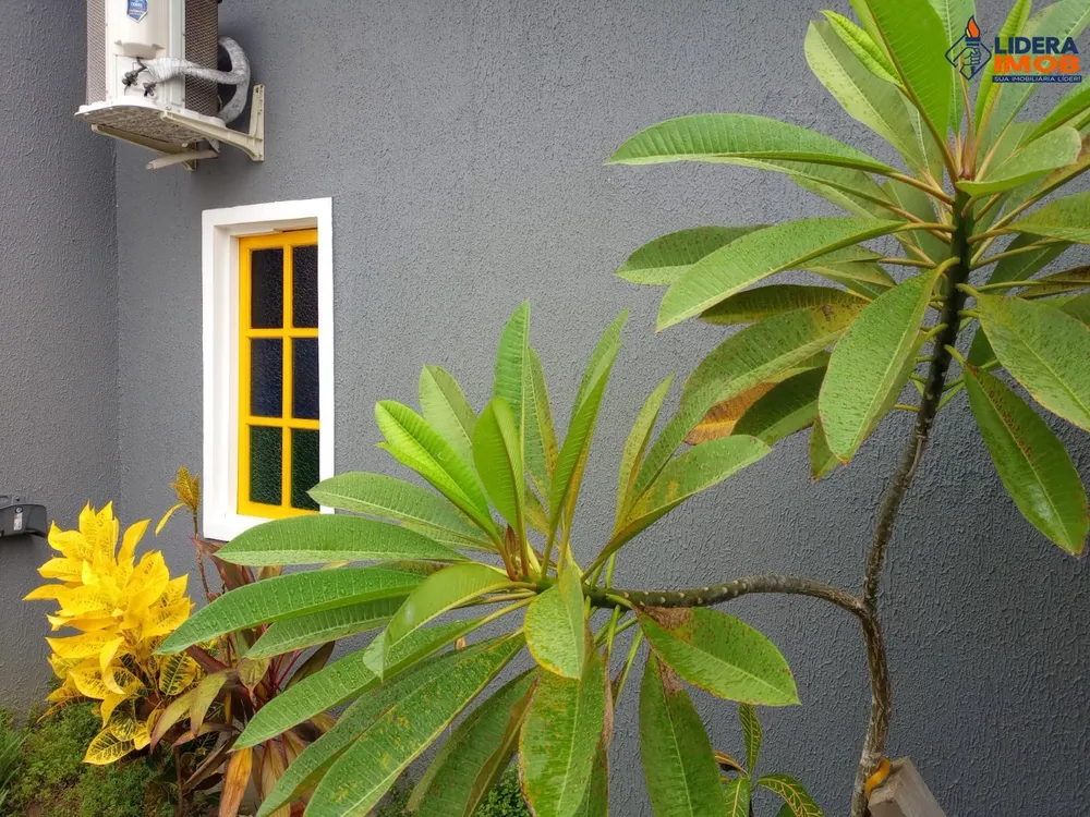 Casa, 2 quartos, 420 m² - Foto 4