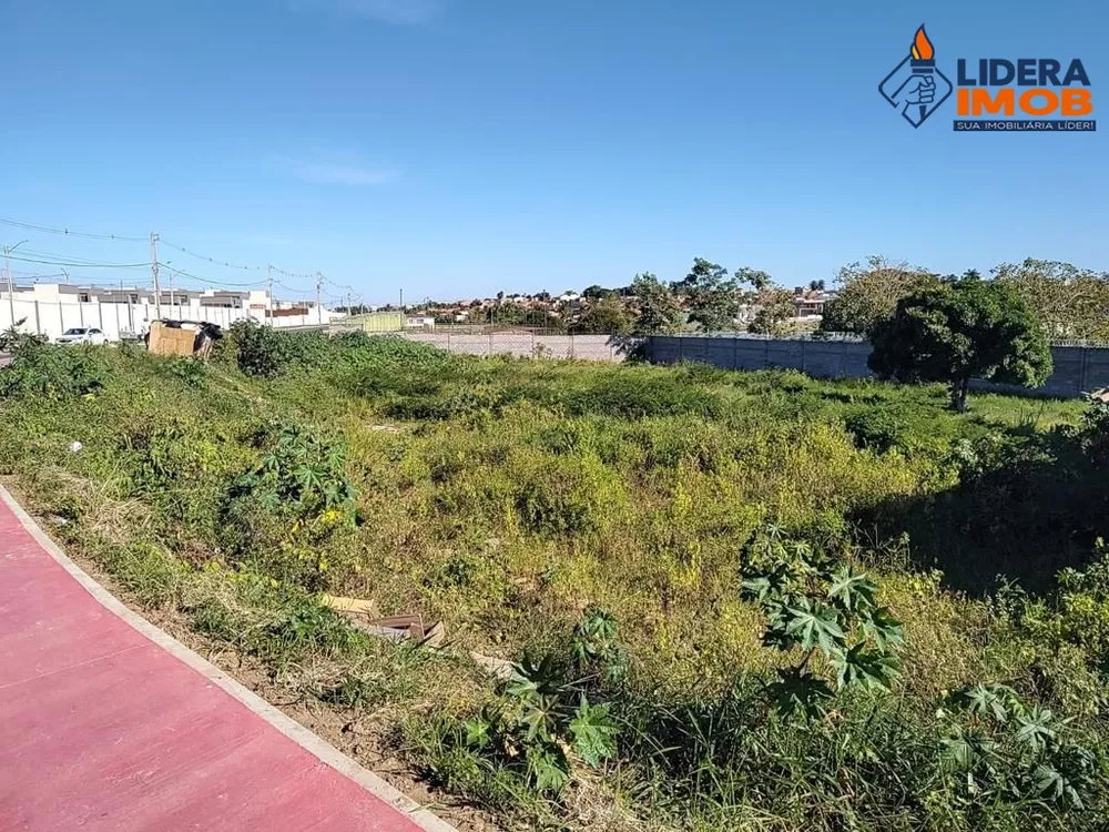 Terreno, 5548 m² - Foto 5
