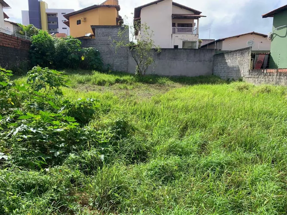Terreno, 250 m² - Foto 3