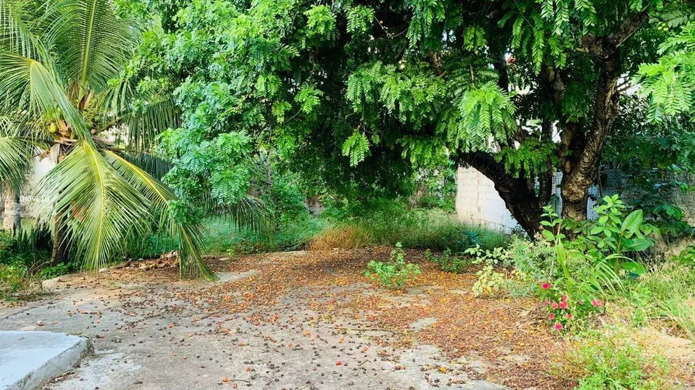 Terreno, 390 m² - Foto 7