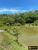 Sítio, 4 quartos, 12 hectares - Foto 4