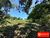 Terreno, 1309 m² - Foto 5