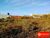 Terreno, 360 m² - Foto 3