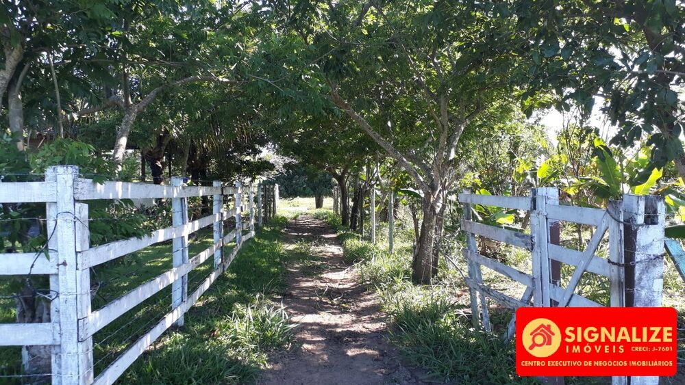 Sítio, 2 quartos, 7800 m² - Foto 10