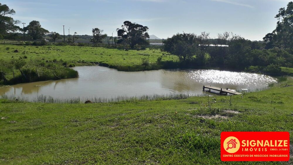 Sítio, 2 quartos, 7800 m² - Foto 13