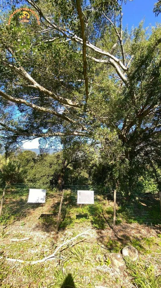 Terreno, 608 m² - Foto 5