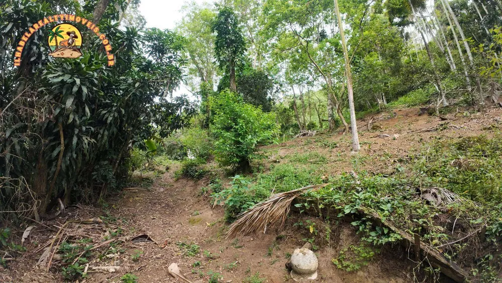 Terreno, 1 hectares - Foto 2