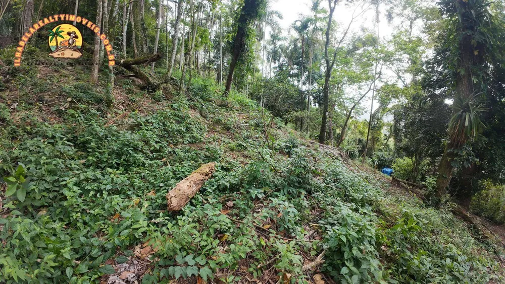 Terreno, 1 hectares - Foto 3