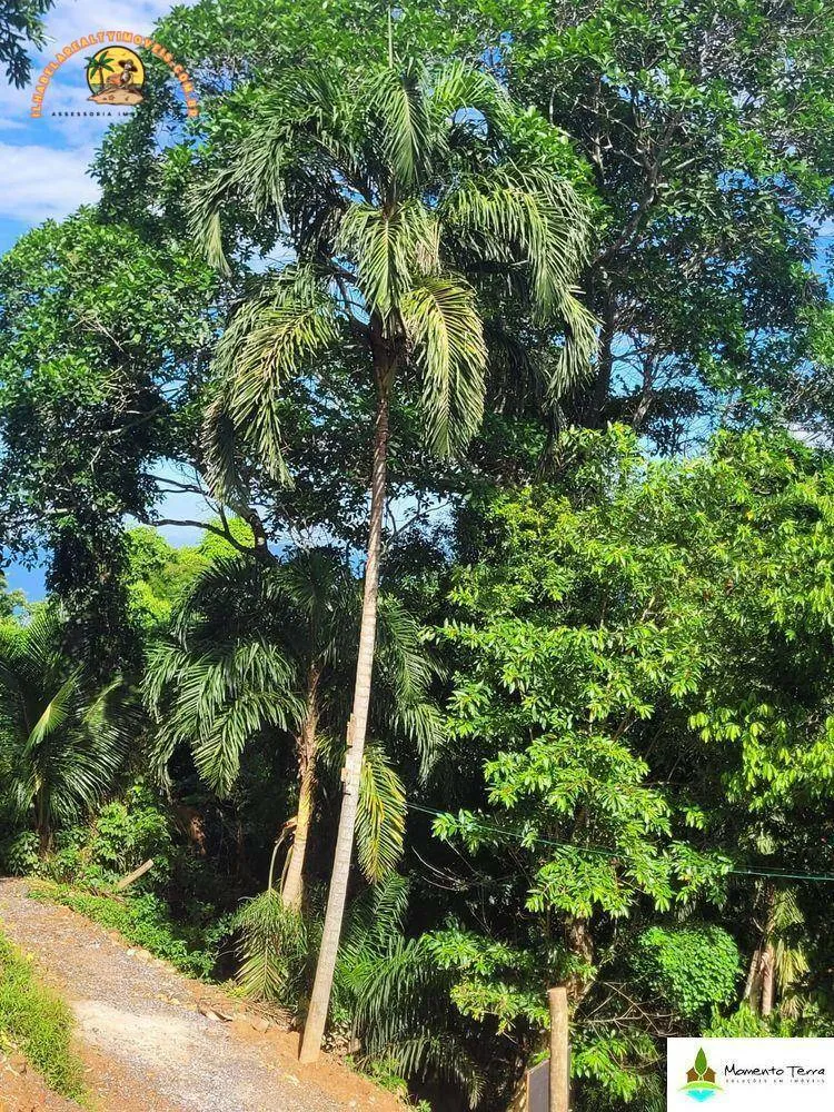 Loteamento e Condomínio, 630 m² - Foto 3