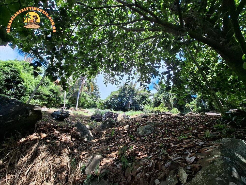 Loteamento e Condomínio, 2440 m² - Foto 2