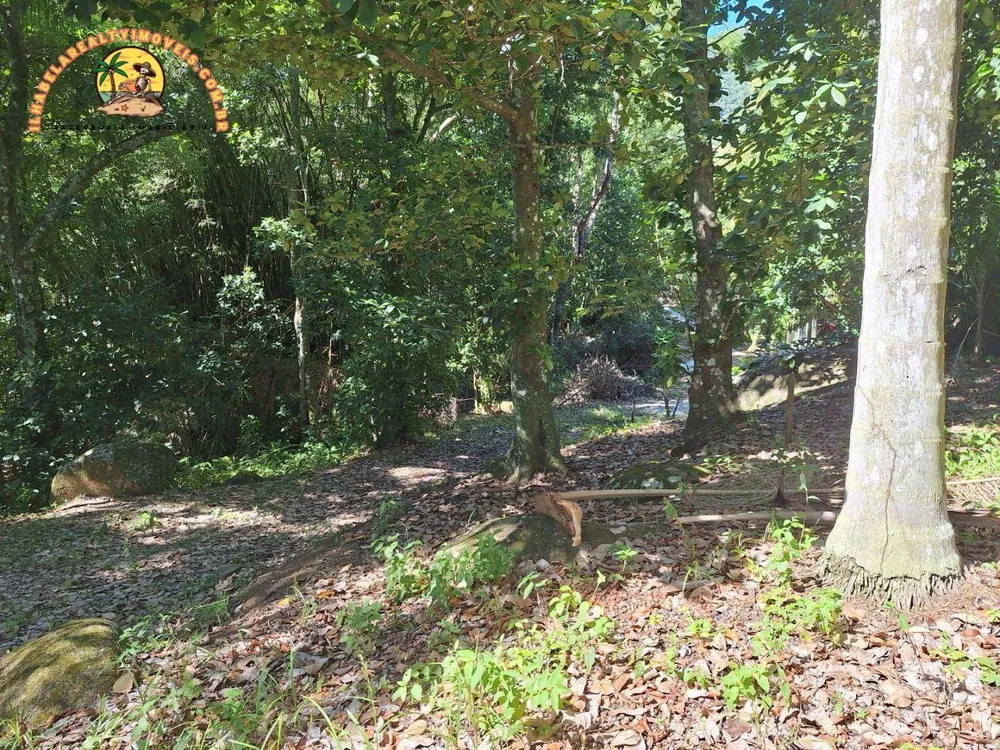 Terreno, 2484 m² - Foto 1