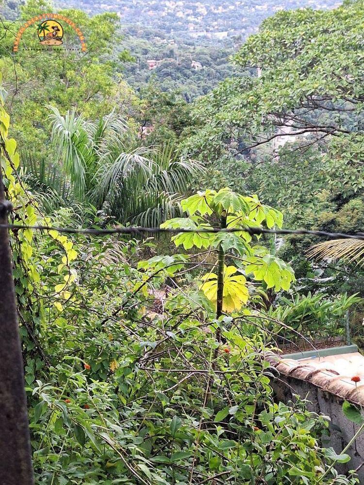 Terreno, 4 hectares - Foto 6