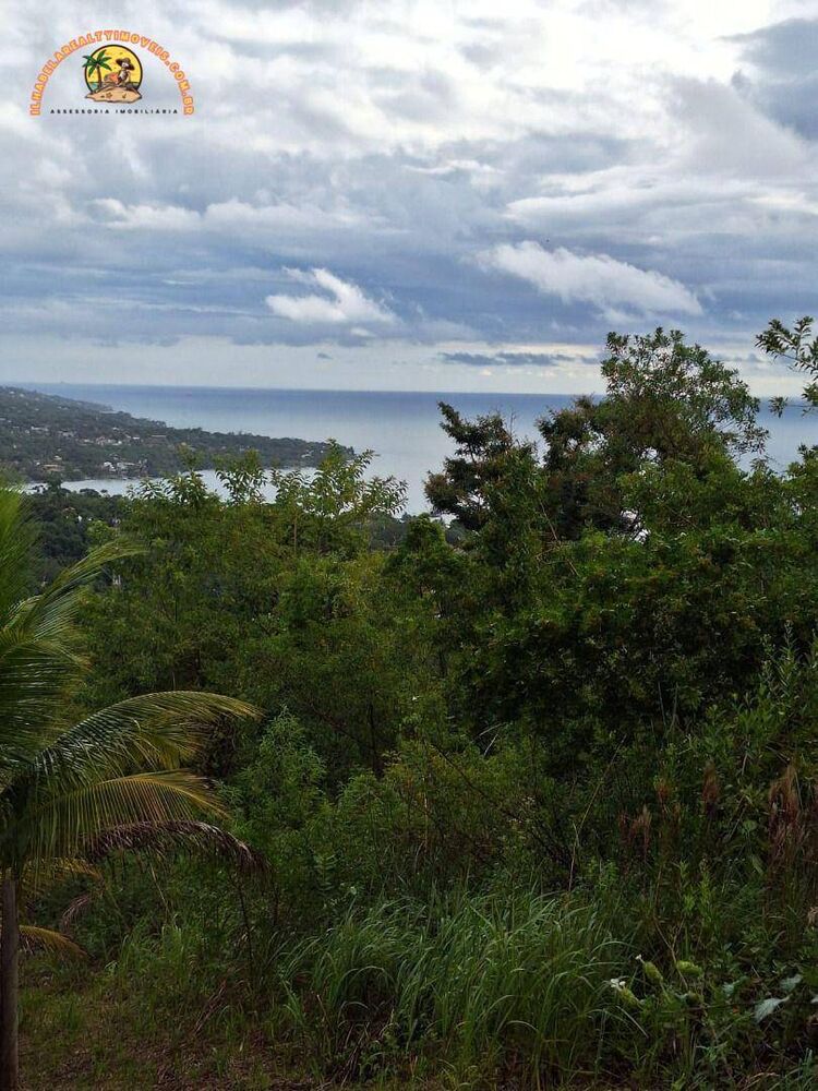 Terreno, 4 hectares - Foto 2