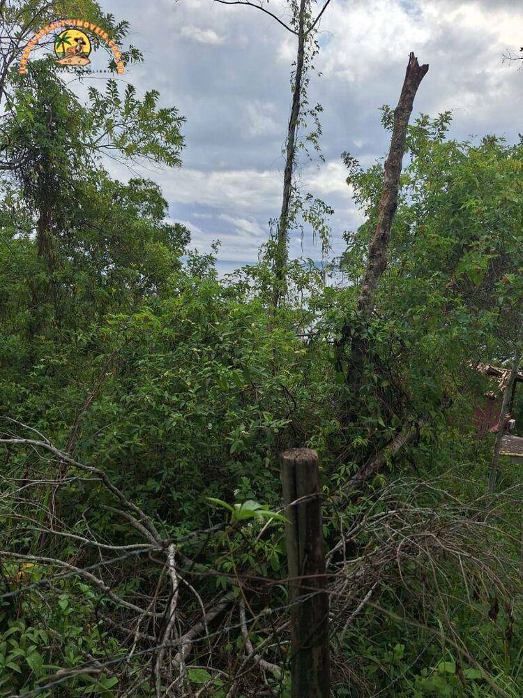 Terreno, 4 hectares - Foto 5