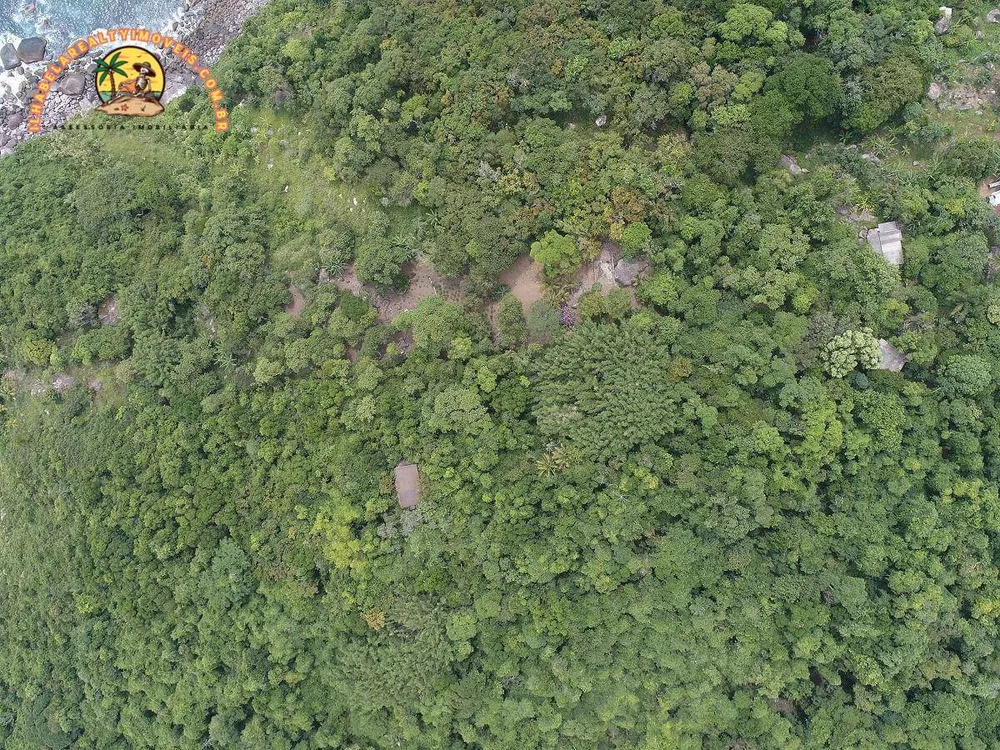 Terreno, 5 hectares - Foto 7