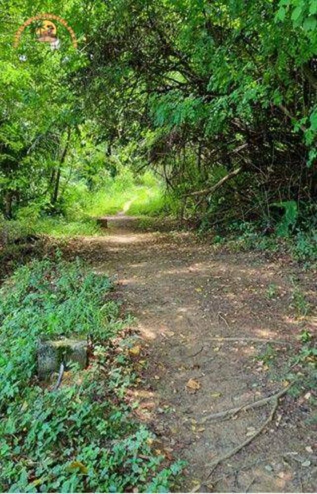 Terreno, 9664 m² - Foto 6