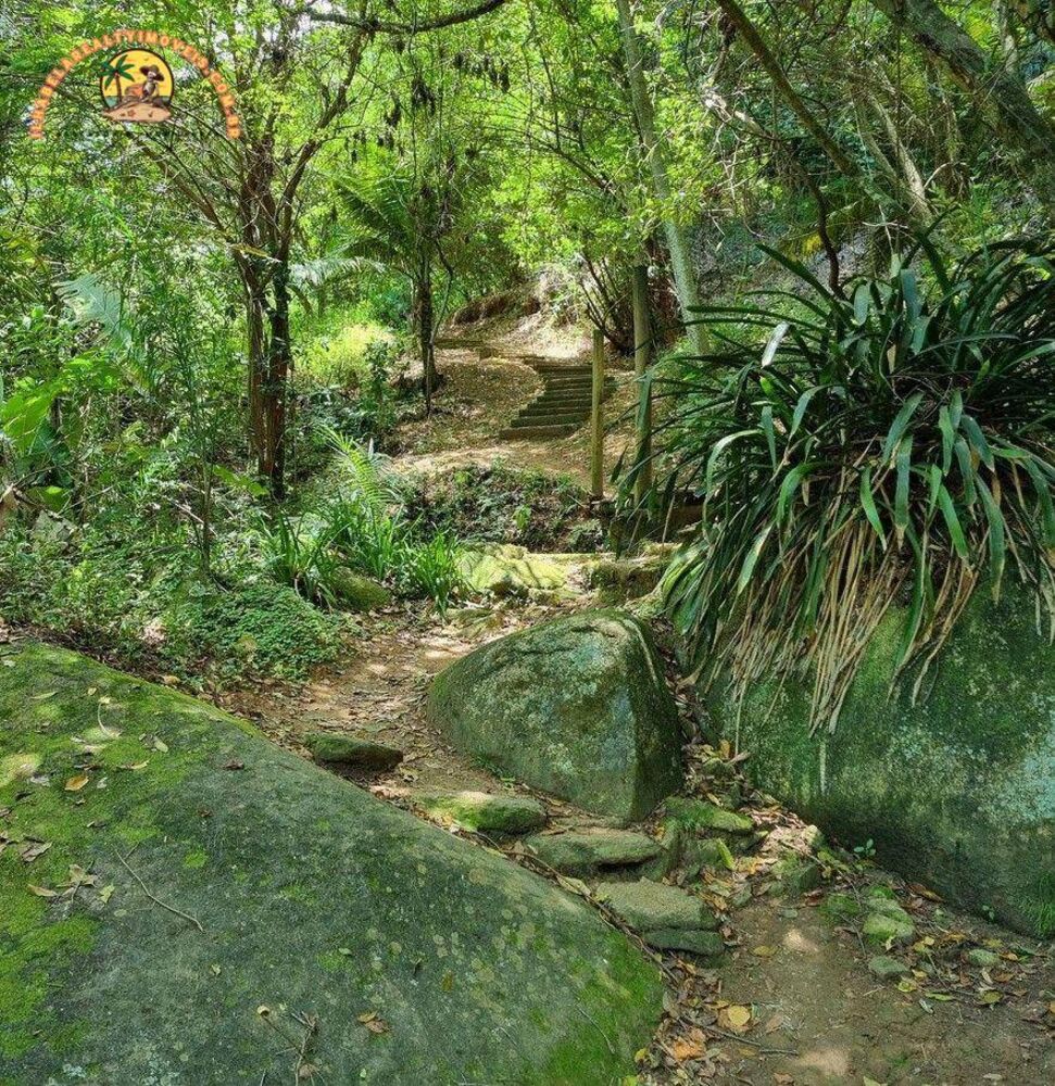 Terreno, 9664 m² - Foto 7