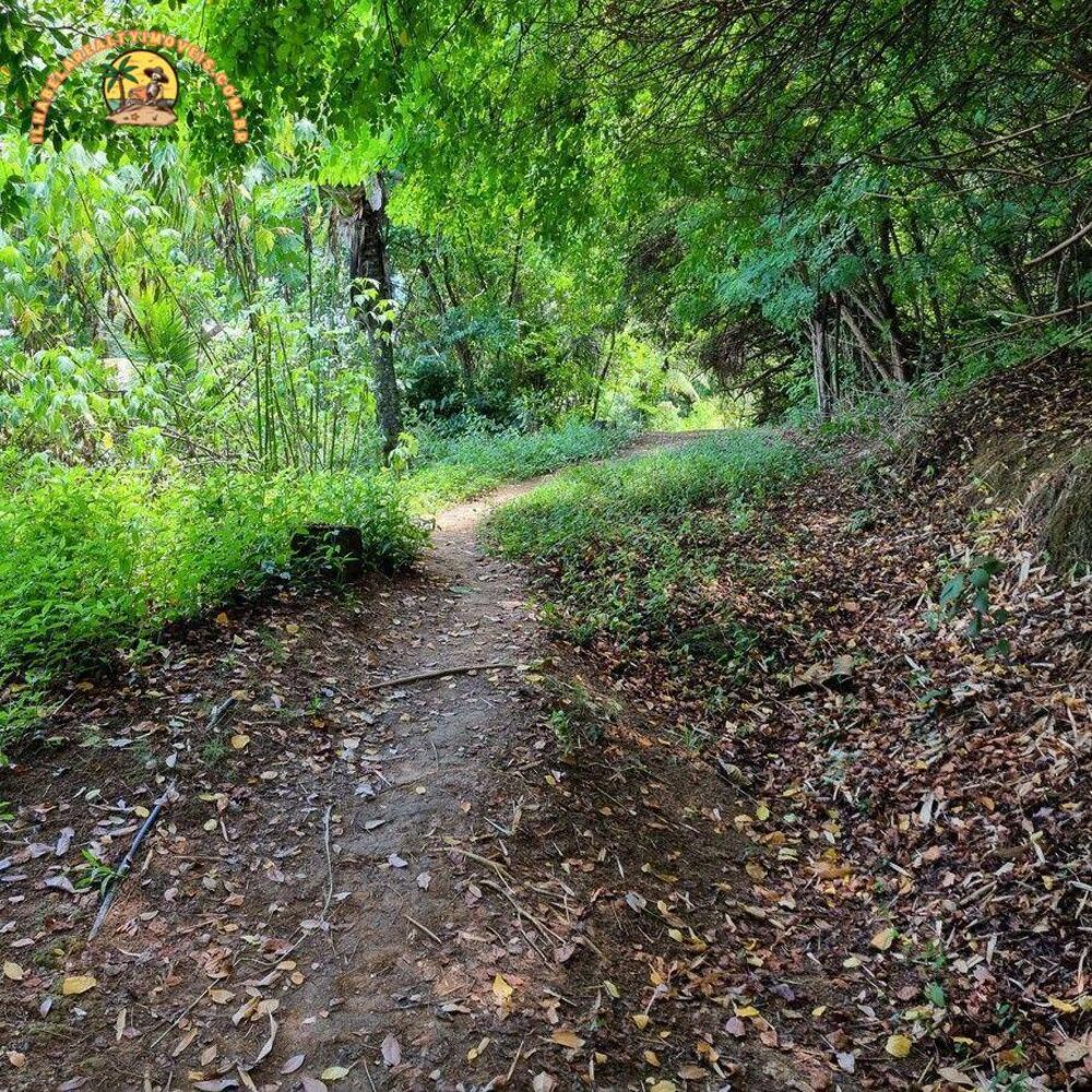 Terreno, 9664 m² - Foto 8