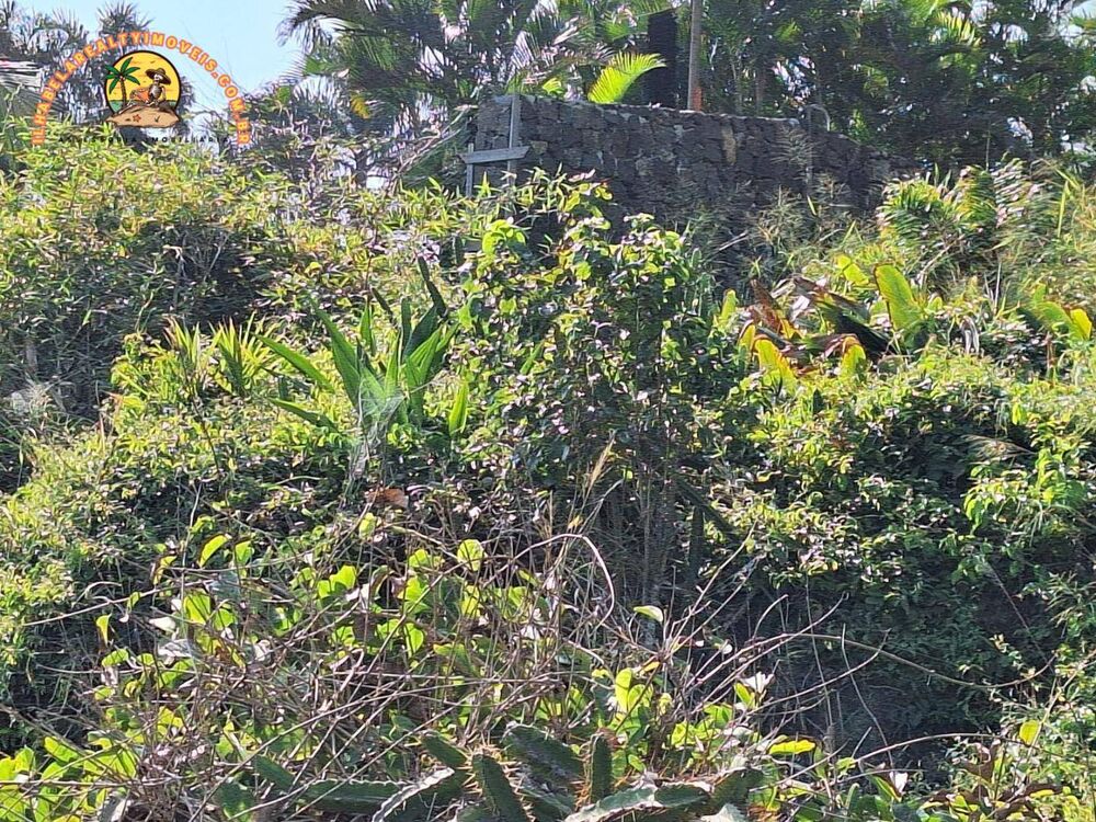 Terreno, 2 hectares - Foto 3