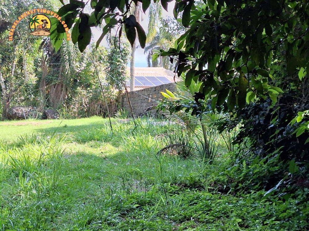 Terreno, 2 hectares - Foto 9