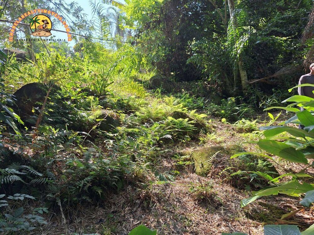 Terreno, 2 hectares - Foto 15