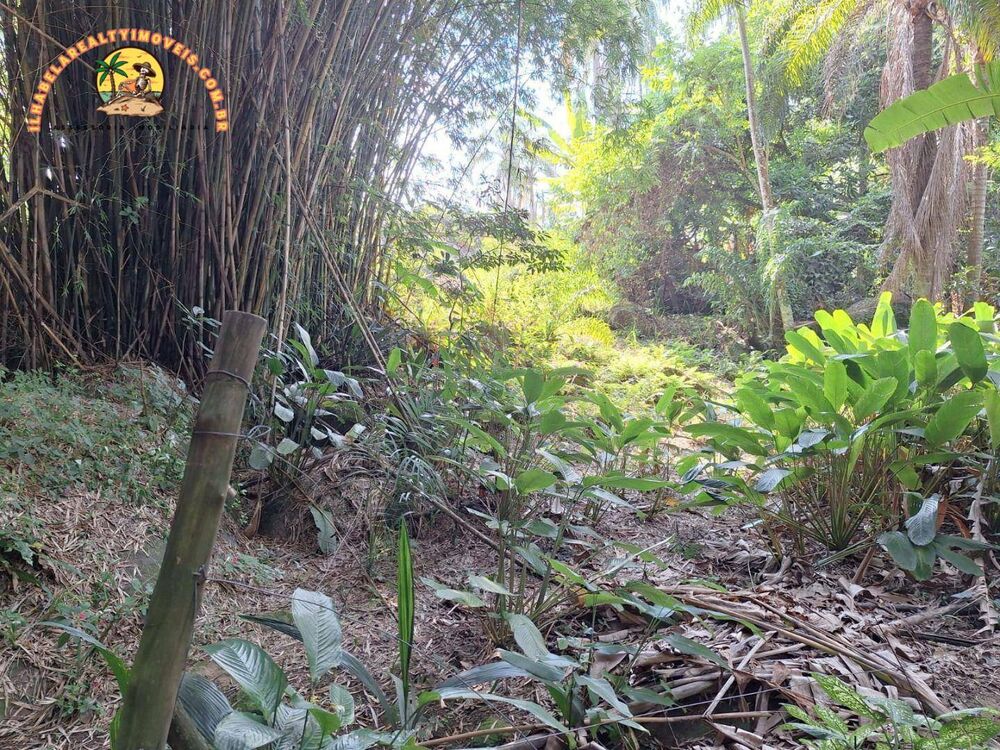 Terreno, 2 hectares - Foto 14