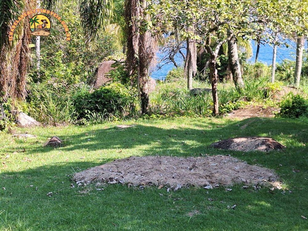 Terreno, 2 hectares - Foto 4