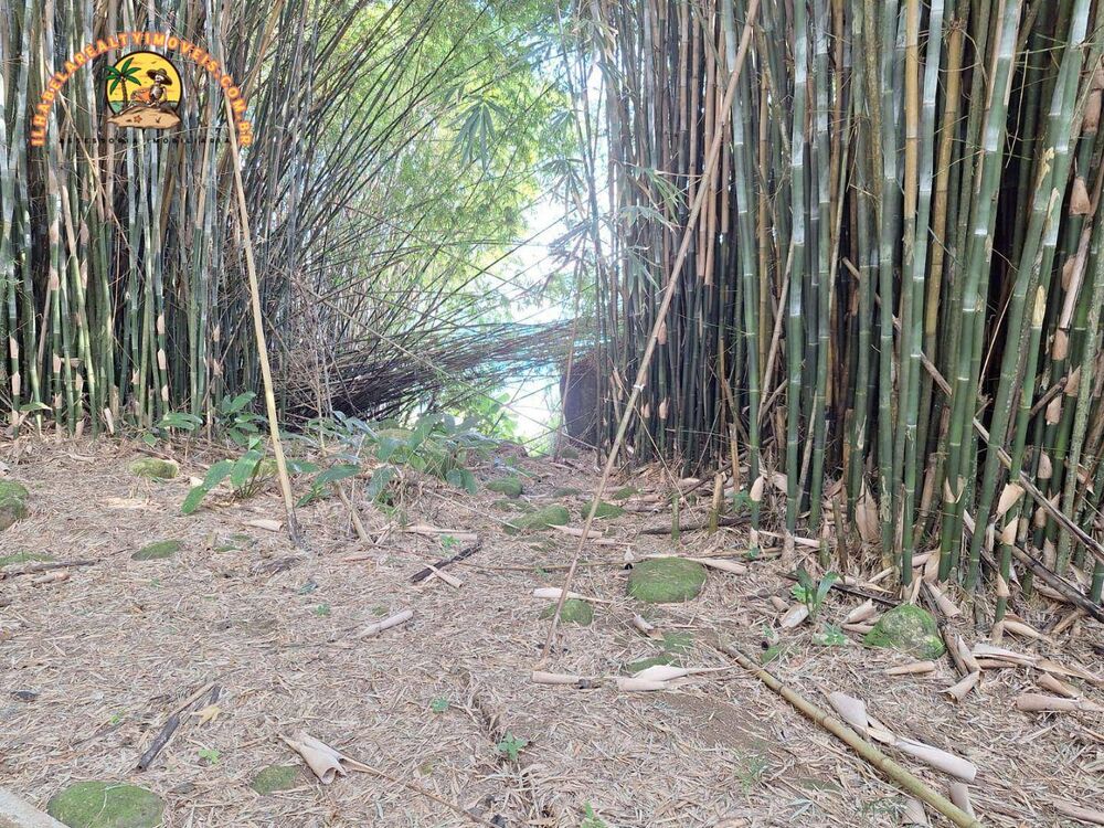 Terreno, 2 hectares - Foto 13