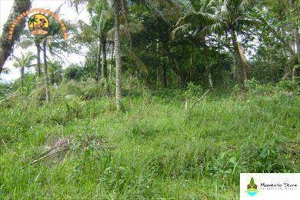 Terreno, 3650 m² - Foto 3